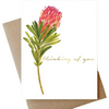 Protea Thinking of You Card