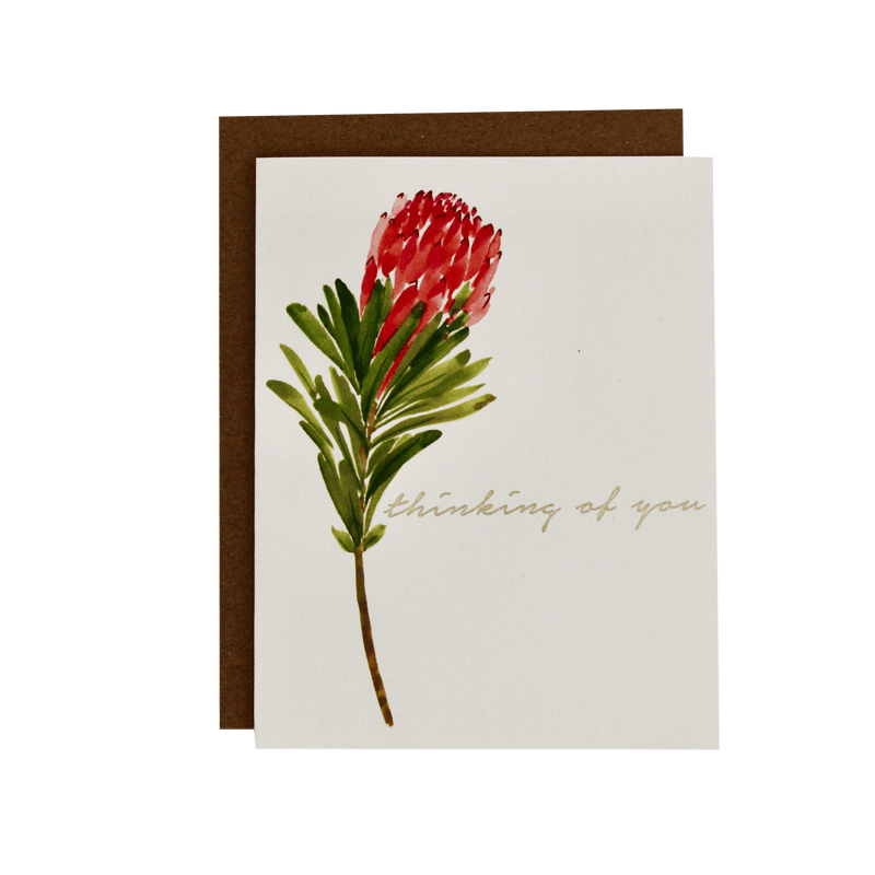 Protea Thinking of You Card